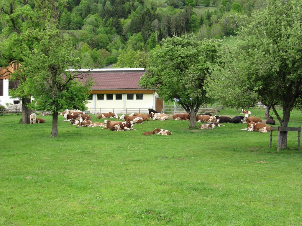 Donisbauerhof Διαμέρισμα Lieserbrücke Εξωτερικό φωτογραφία
